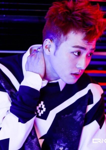 FeelDog photo