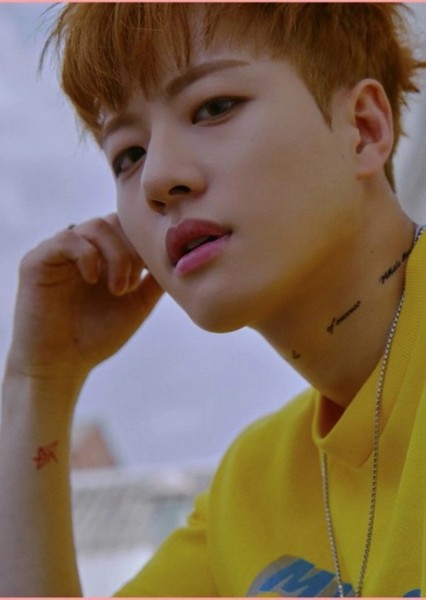 FeelDog photo