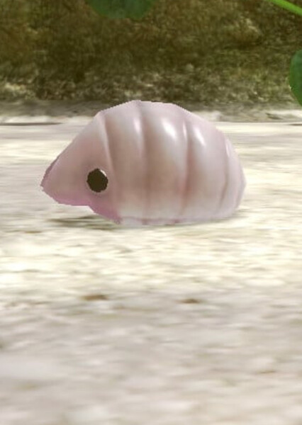 Female Sheargrub