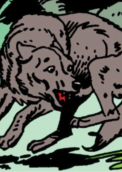 Fheta (Wolf)