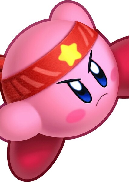 Fighter Kirby photo