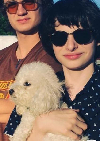 Finn Wolfhard photo