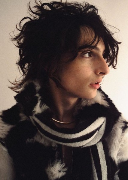 Finn Wolfhard photo