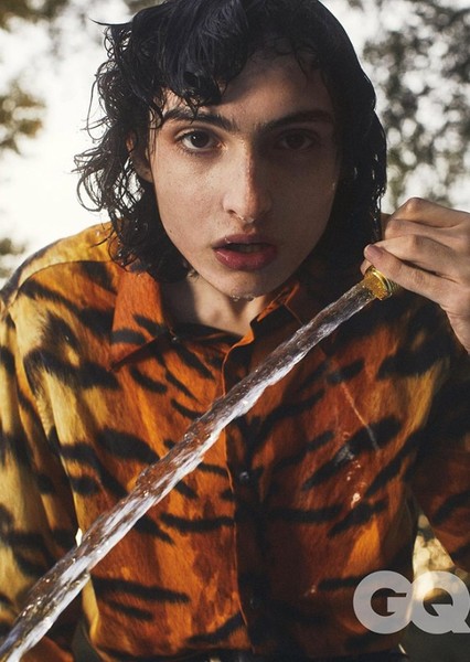 Finn Wolfhard photo