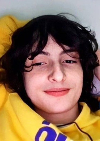 Finn Wolfhard photo