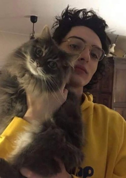 Finn Wolfhard photo