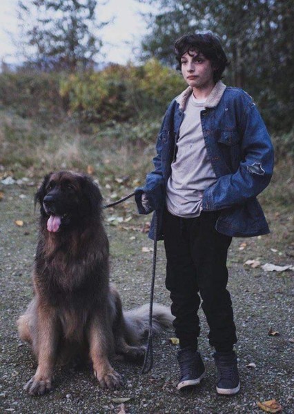 Finn Wolfhard photo