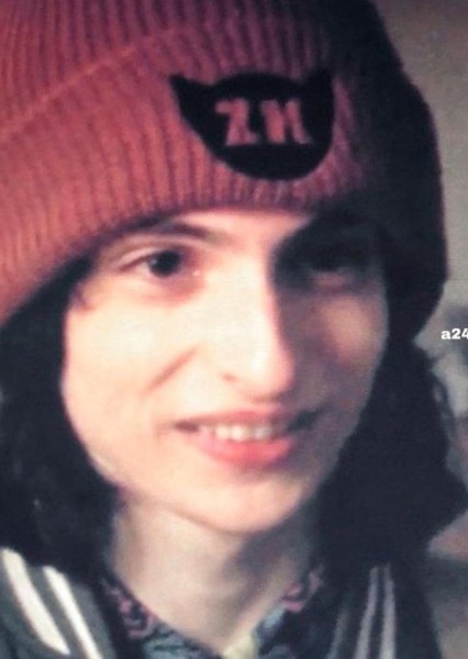 Finn Wolfhard photo