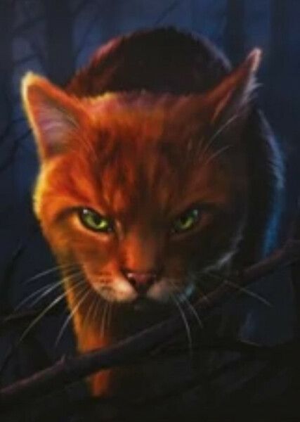 Firestar (Warrior Cats) photo