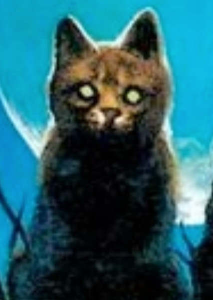Firestar (Warrior Cats) photo