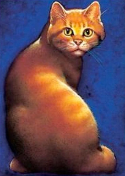 Firestar (Warrior Cats) photo