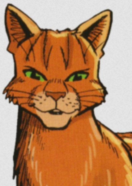 Firestar Warrior Cats Photo On Mycast Fan Casting Your Favorite Stories