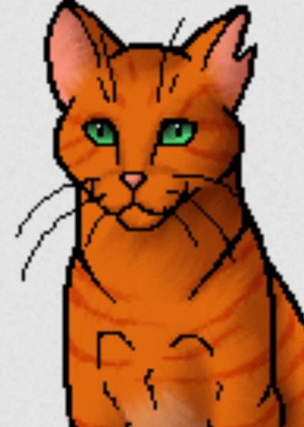 Firestar (Warrior Cats) photo