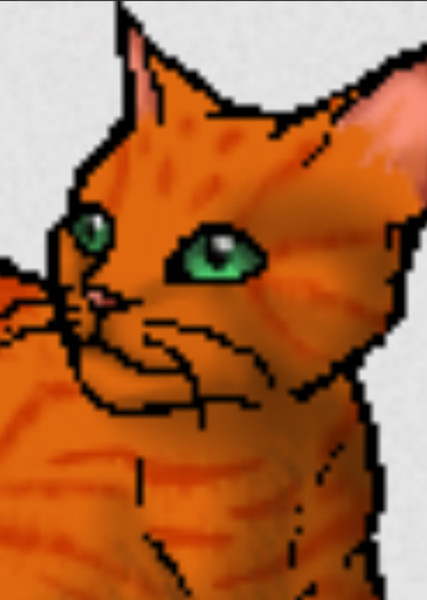 Firestar (Warrior Cats) photo