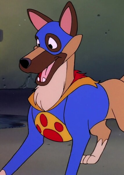 Flash the Wonder Dog