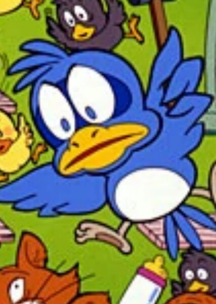 Flicky photo