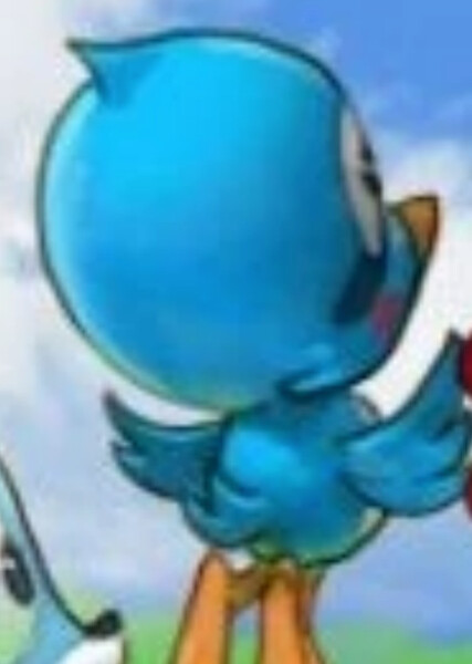 Flicky photo
