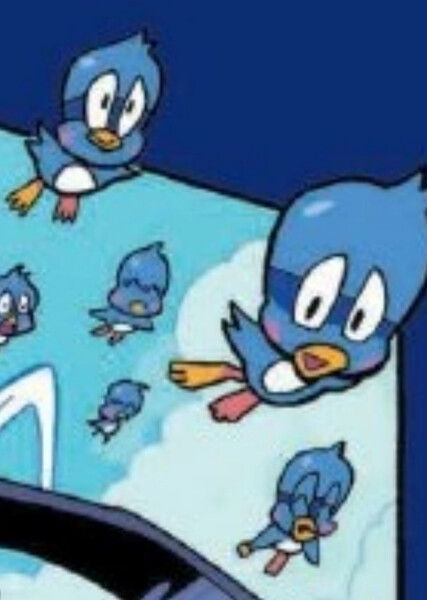 Flicky photo