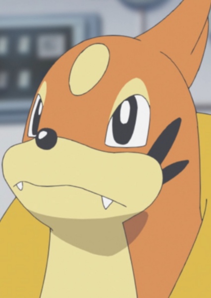 Floatzel photo