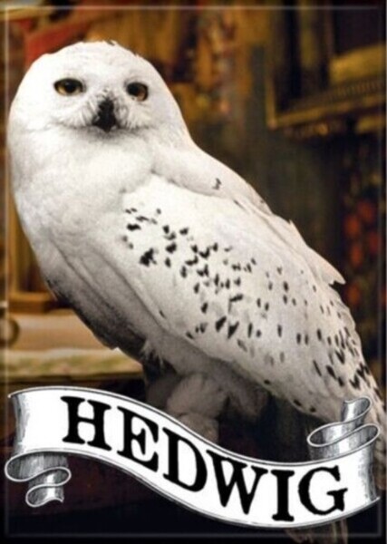Florence Pugh photo