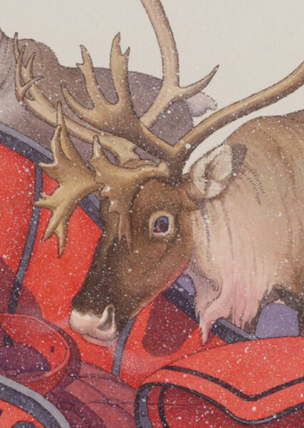 Flossie the Reindeer photo