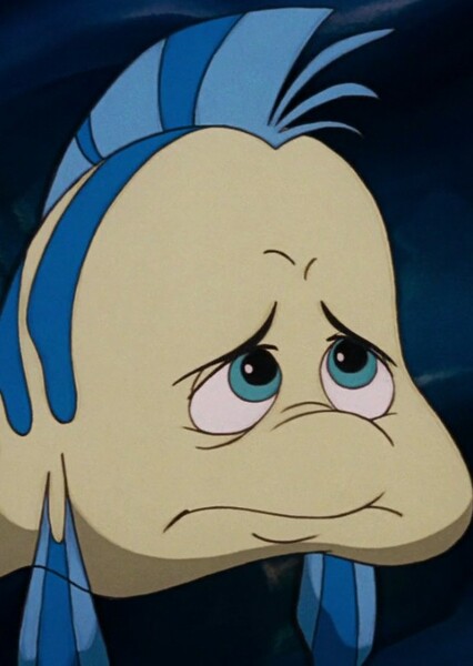 Flounder photo
