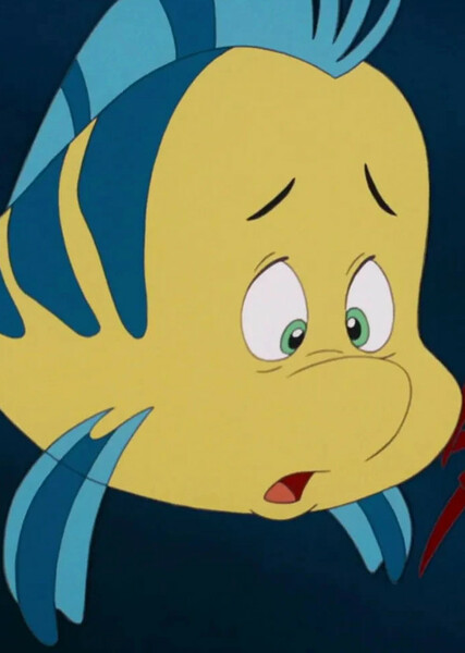 Flounder photo