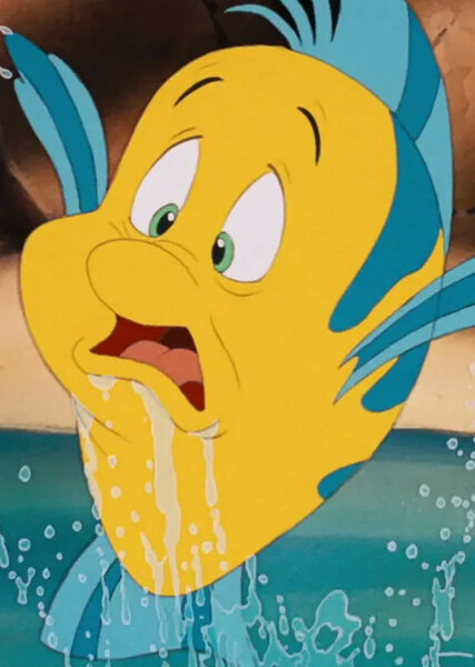 Flounder photo