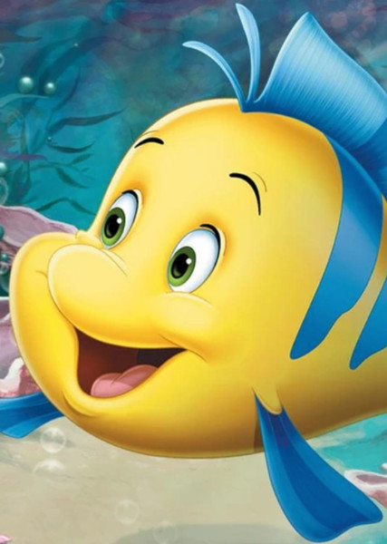 Flounder photo