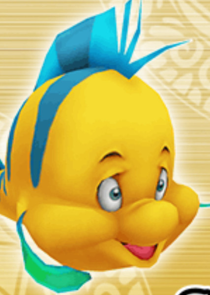 Flounder photo