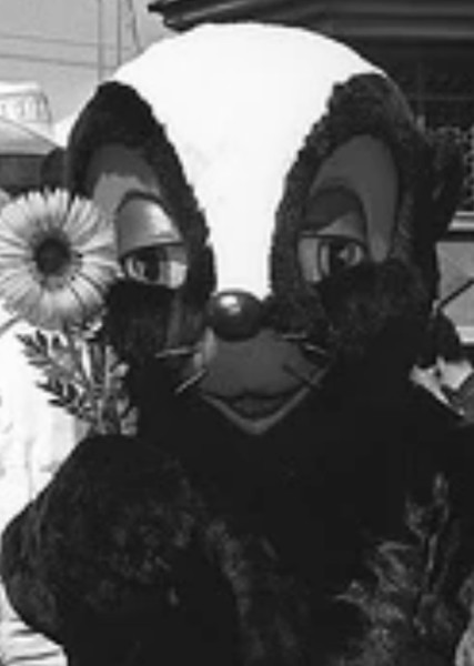 Flower photo
