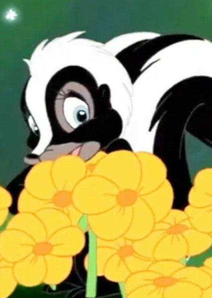Flower photo