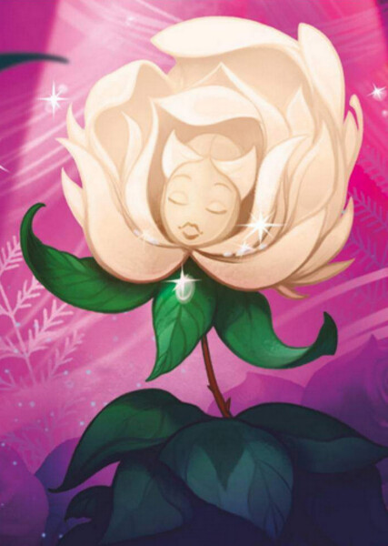 Flowers of Wonderland photo
