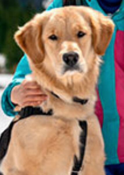 Flurry (American Girl)