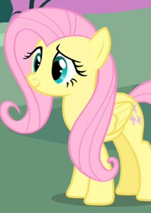 Fluttershy