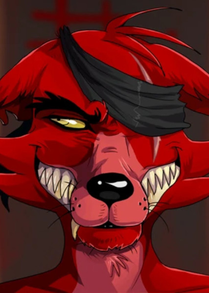 Foxy the Pirate Fox photo