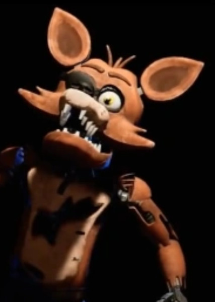 Foxy the Pirate Fox photo