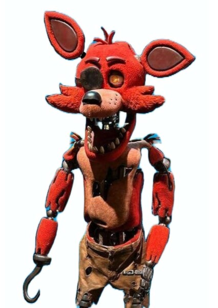Foxy the Pirate Fox photo