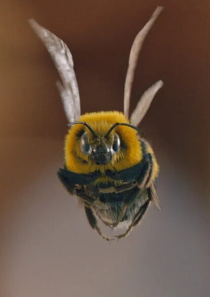Framestore photo