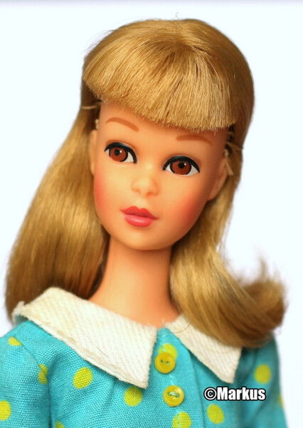 Francie Fairchild