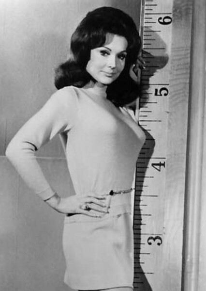 Francine York photo