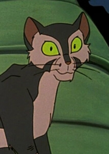 Francis (Felidae) photo