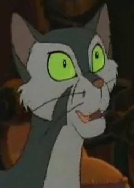 Francis (Felidae) photo