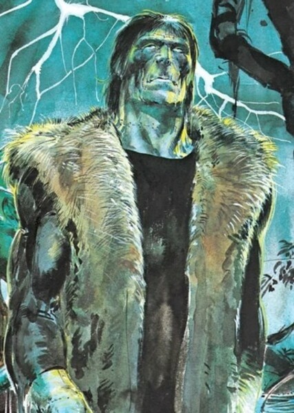 Frankenstein’s Monster photo