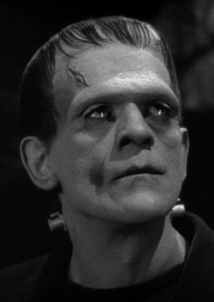 Frankenstein's Monster (Universal) photo