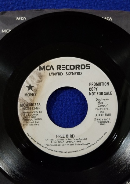 Free Bird (Lynyrd Skynyrd) photo