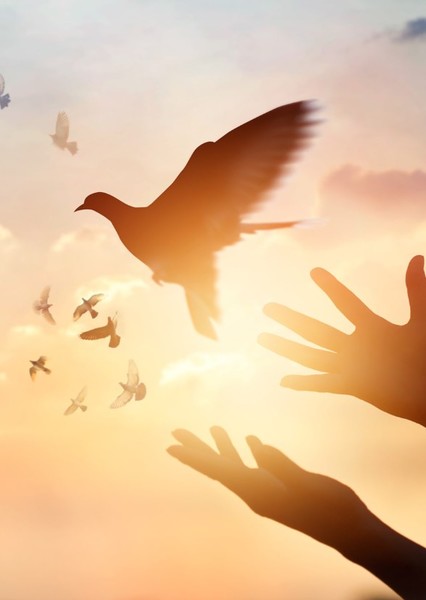 Freedom