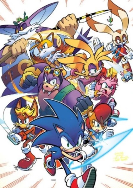 Freedom Fighters (Sonic the Hedgehog) photo