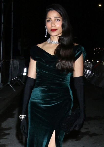 Freida Pinto photo