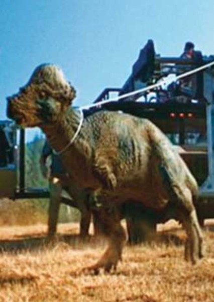 Friar Tuck the Pachycephalosaurus